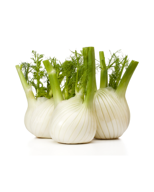 Fennel
