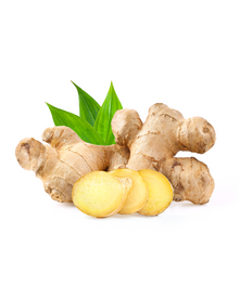 Ginger